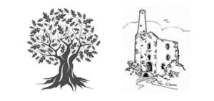 Weight Loss Injections – Oak Tree Surgery